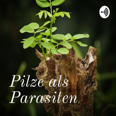 Tierische Parasiten