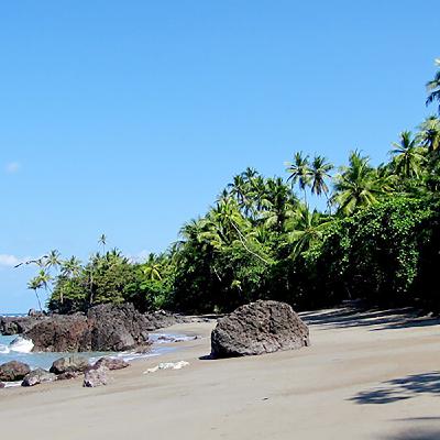 Episode 25 : Tricia Stapleton & Iris Nekeman: Ecoregeneration and community in Costa Rica :