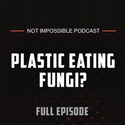 S2 Ep4: Plastic Eating Fungi? with Biodegradation Researcher Dr. Amira Samat