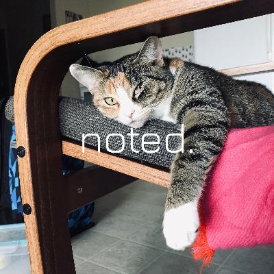 Noted is curated experience of musical tastes with a quirky guide who will build the hype.