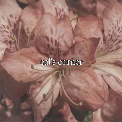 🎧🪻 more random rambles 🪻🎧