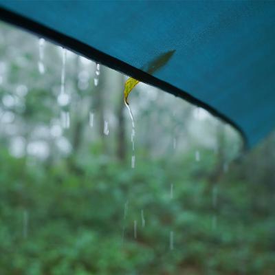 Windy Forest Tent Rain - 10 Hours