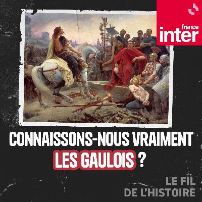Connaissons-nous vraiment les Gaulois ? 5/5 : Comment l’archéologie a révolutionné notre connaissance des Gaulois
