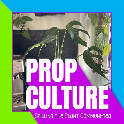 E05: HOA Destroyed His Collection, Plant Reviews 2.0, Monstera Burle Marx Flame. And A Vegan Vag...?