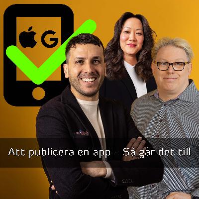Att publicera en app - så går det till
