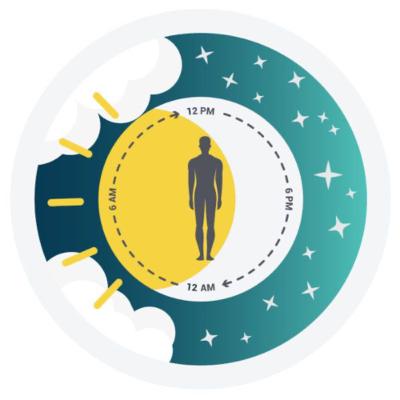 Regulação do ritmo circadiano na cidade e no campo: reflexos na alimentação, saúde e sono