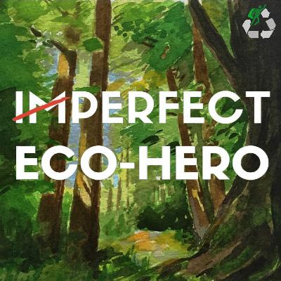 How To Be A Hypocrite And An Eco-Hero (Part 1)