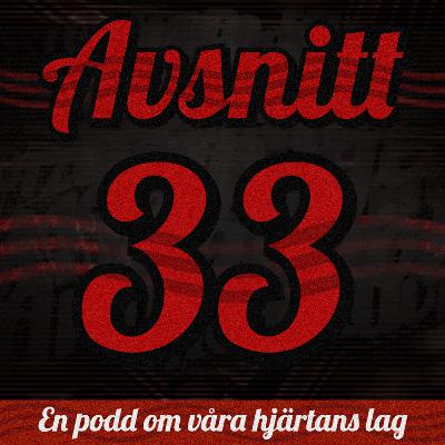 33: Hockeyfeber