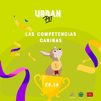 Ep. 14 - Las competencias caninas