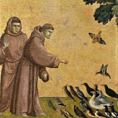 A Salute to Brevity 5: Sermon to the Birds by Saint Francis of Assisi A Salute to Brevity 5: Sermon to the Birds by Saint Francis of Assisi