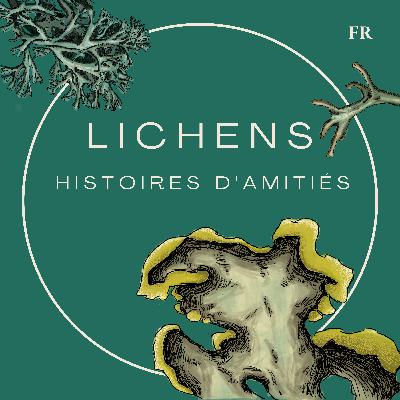 Les lichens, histoires d'amitiés