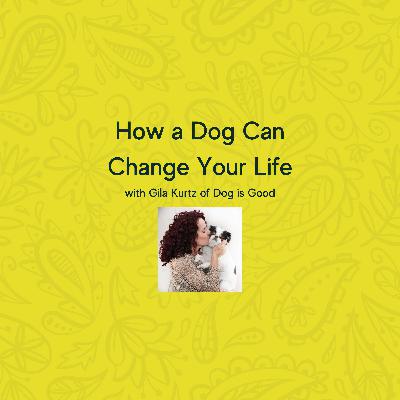 How a Dog Can Change Your Life with Gila Kurtz of Dog is Good How a Dog Can Change Your Life with Gila Kurtz of Dog is Good