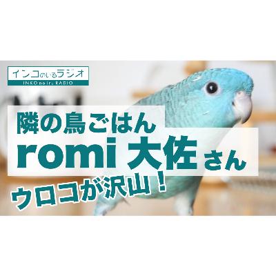 【隣の鳥ごはん】romi大佐チャンネルさんの鳥ごはん【インコのいるラジオ】