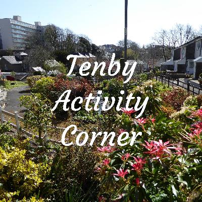 Fresh Vegetables, Warm Rooms, Pembrokeshire Coast Path, Craft Fayre, and Halloween on the Island! Fresh Vegetables, Warm Rooms, Pembrokeshire Coast Path, Craft Fayre, and Halloween on the Island!