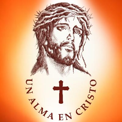 170	El hombre es libre de obrar UN ALMA EN CRISTO (1993) Libro 2