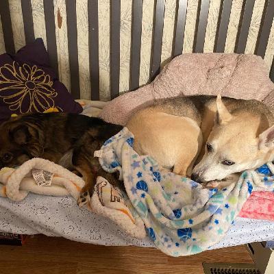 Episode 6 - Self Care