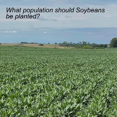 What population should Soybeans be planted? | Season 2 Episode 4