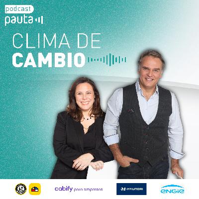 Conservación a gran escala en la Patagonia chilena