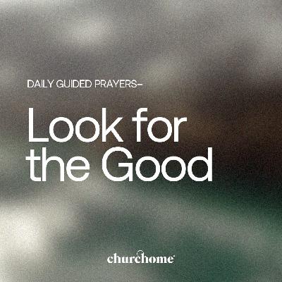 Look for the Good Look for the Good