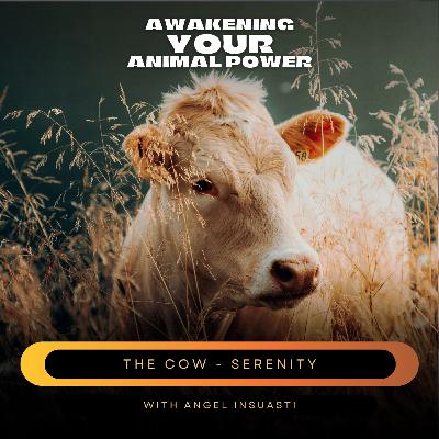 The Cow as your Power Animal