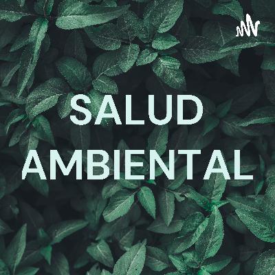 "CON NUESTRAS BUENAS ACCIONES PODREMOS PRESERVAR LA SALUD AMBIENTAL"