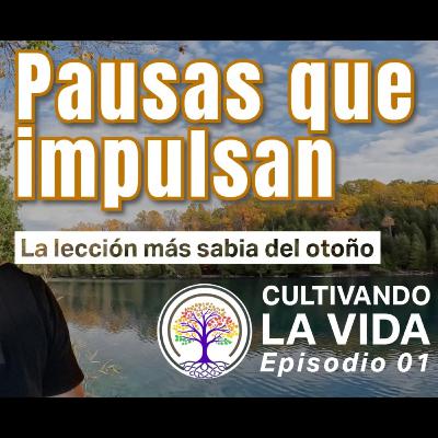001 - Pausas que impulsan: La lección más sabia del otoño