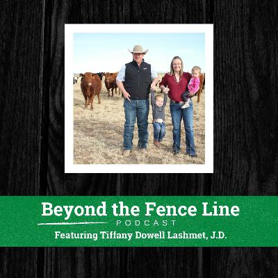 Episode 27 - Tiffany Lashmet J.D.