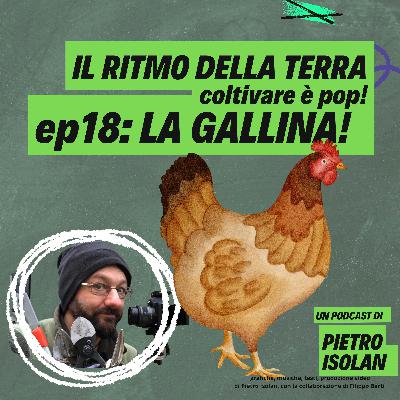 ep 18 - Le galline