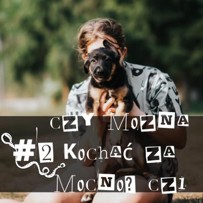 #2: Czy można kochać za mocno? Rozmowa z Joanną Wrześniowską o patologicznym przywiązaniu do psów (cz. 1)