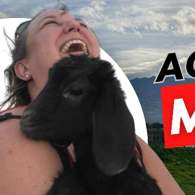 đ From Rock Bottom to the Road | Pamâs Journey with Worldpackers đ From Rock Bottom to the Road | Pamâs Journey with Worldpackers