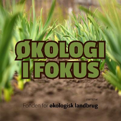 Økologi i fokus 2026 - Januar: Økologi anno 2026
