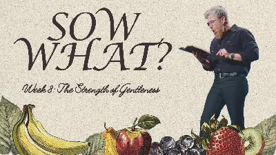 Sow What?: Week 8: The Strength of Gentleness