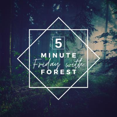 5 min friday with Forest Hamilton. If/Then Principle