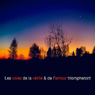 MICROPHONE FRANCOPHONE 15.7 MICROPHONE FRANCOPHONE 15.7