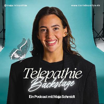 #8 Tierseele nach dem Tod: Wenn dein Tier noch bei dir ist und nicht loslässt #8 Tierseele nach dem Tod: Wenn dein Tier noch bei dir ist und nicht loslässt