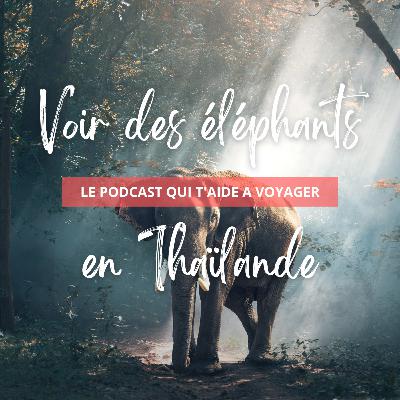 Éléphants en Thaïlande : Démystification des Centres de Protection et de l'Industrie Touristique Éléphants en Thaïlande : Démystification des Centres de Protection et de l'Industrie Touristique
