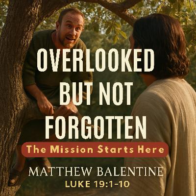 Overlooked But Not Forgotten Overlooked But Not Forgotten