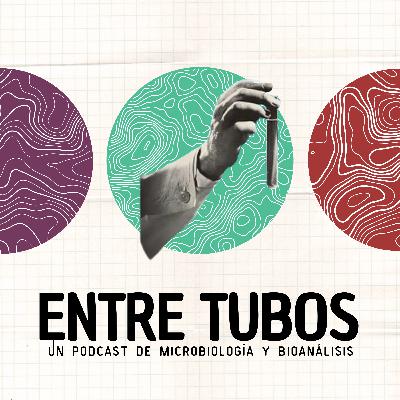 Prebióticos y probióticos: La clave de la salud intestinal