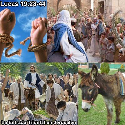 50-La Entrada Triunfal a Jerusalen.mp3 50-La Entrada Triunfal a Jerusalen.mp3