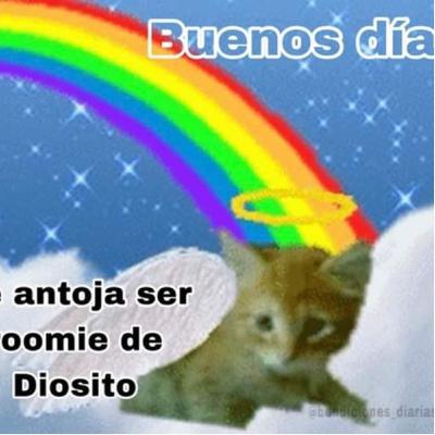Pláticas en el ahuehuete
