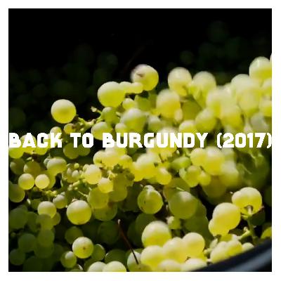 Indie Film Highlight: BACK TO BURGUNDY (2017)