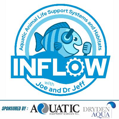 Ep 37 - Inside the AZFA: Design, Environment and Aquatic Exhibit Care