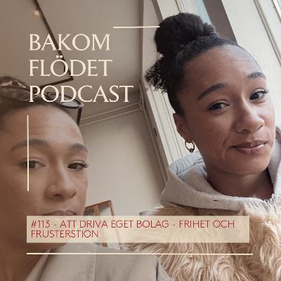 113. Driva eget bolag – frihet och frustration!