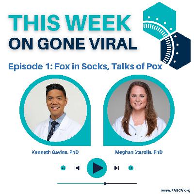 Episode 1: Fox in Socks, Talks of Pox