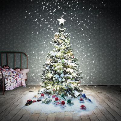 A Sister's Holiday Wish For Her Sister Comes True