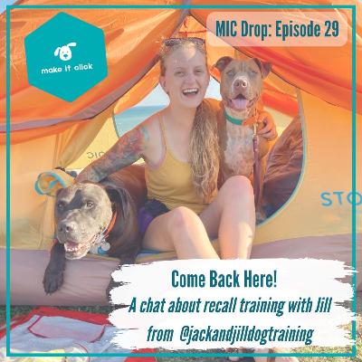 Come Back Here! Recall Training with Jill Hassevoort