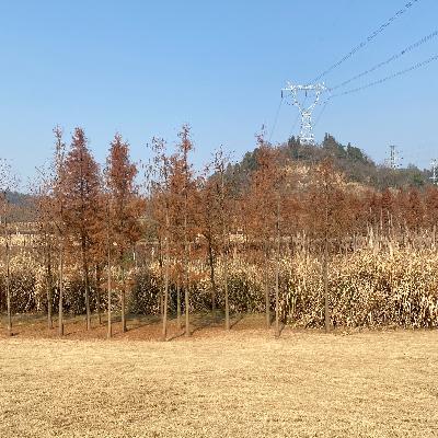 Vol.83 在大事之间,留下一点自己的谈资 Vol.83 在大事之间,留下一点自己的谈资