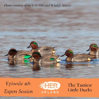 #8| The Tastiest Little Ducks