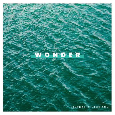 Wonder
