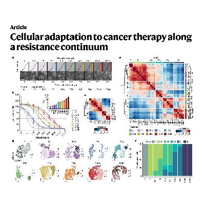 332-细胞状态适应癌症治疗耐药谱